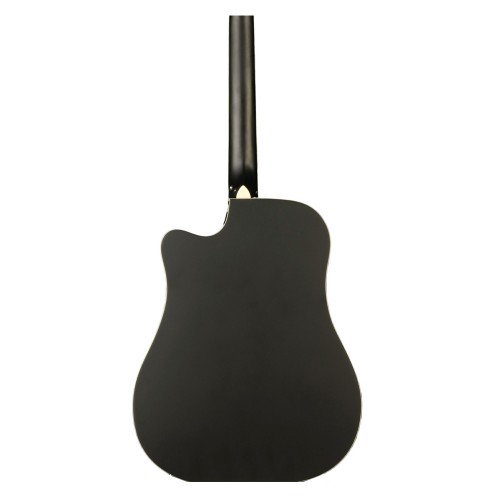 D1C-BKM - Acoustic Guitar