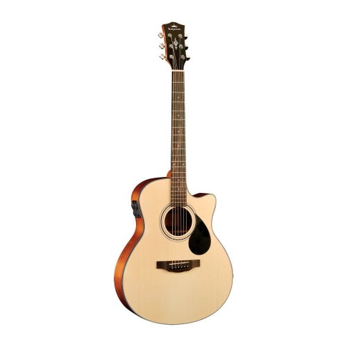 EAC-E NT- Semi Acoustic Guitar