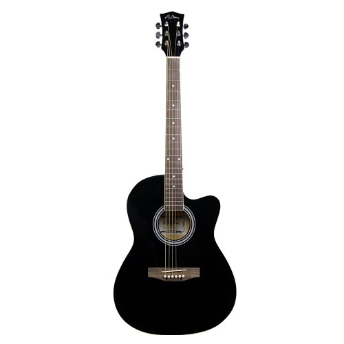 RT-39C - Semi Acoustic Guitar