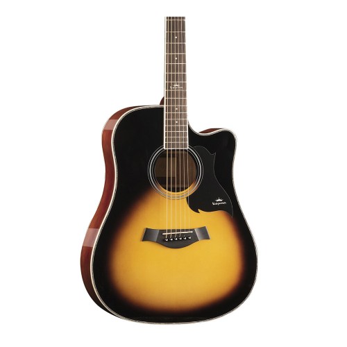 DIC-SBM- Acoustic Guitar