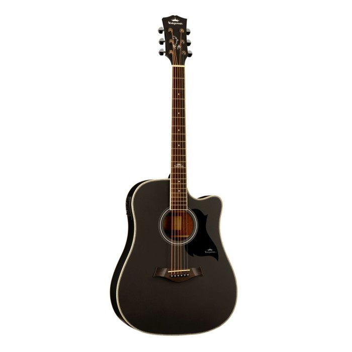 D1C-BKM - Acoustic Guitar