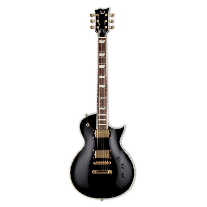 EC-256 BK Electric Guitar