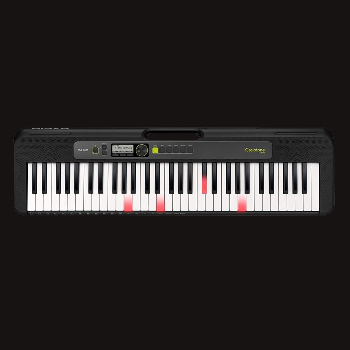 LK-S250 Casio Keyboard 