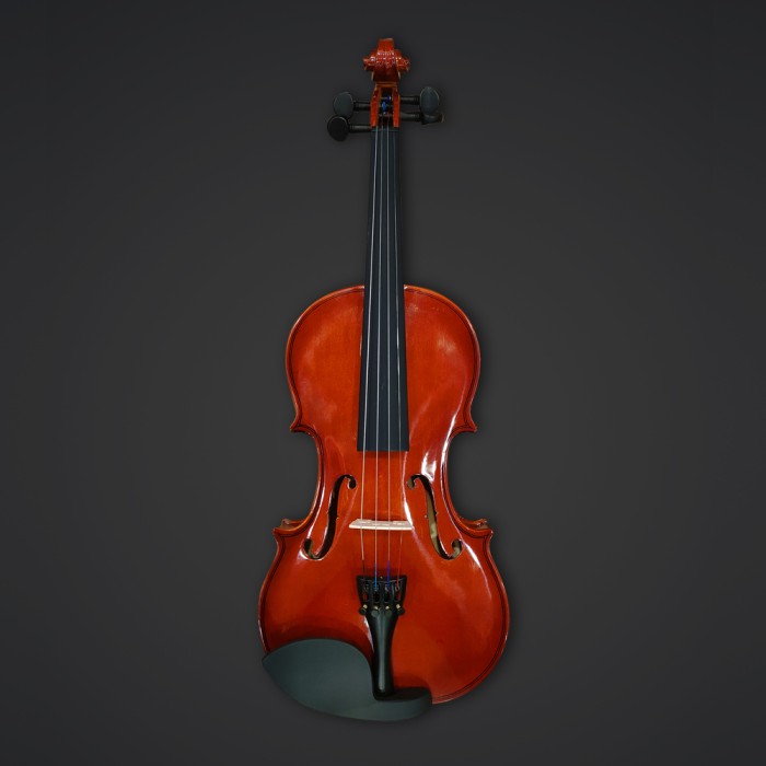 PT-02 -Violin