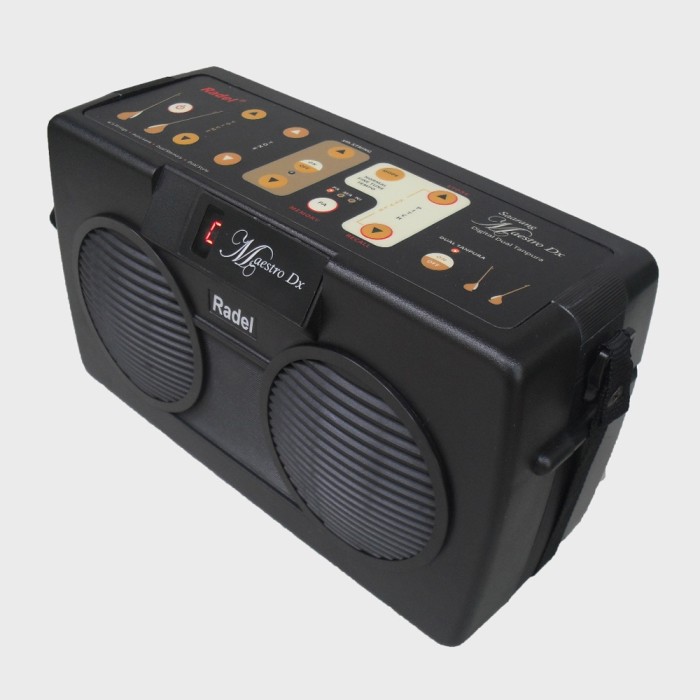Radel Maestro-DX Shruthy Box