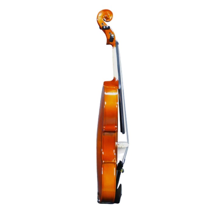 VG-03 - Violin
