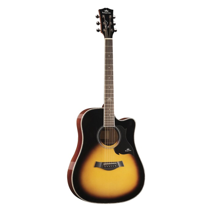 DIC-SBM- Acoustic Guitar